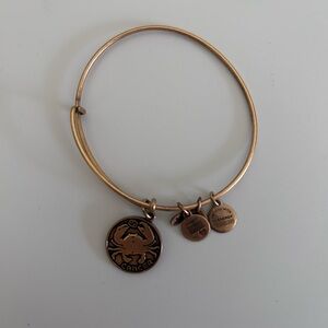 Alex and Ani Cancer Zodiac Bracelet in Gold